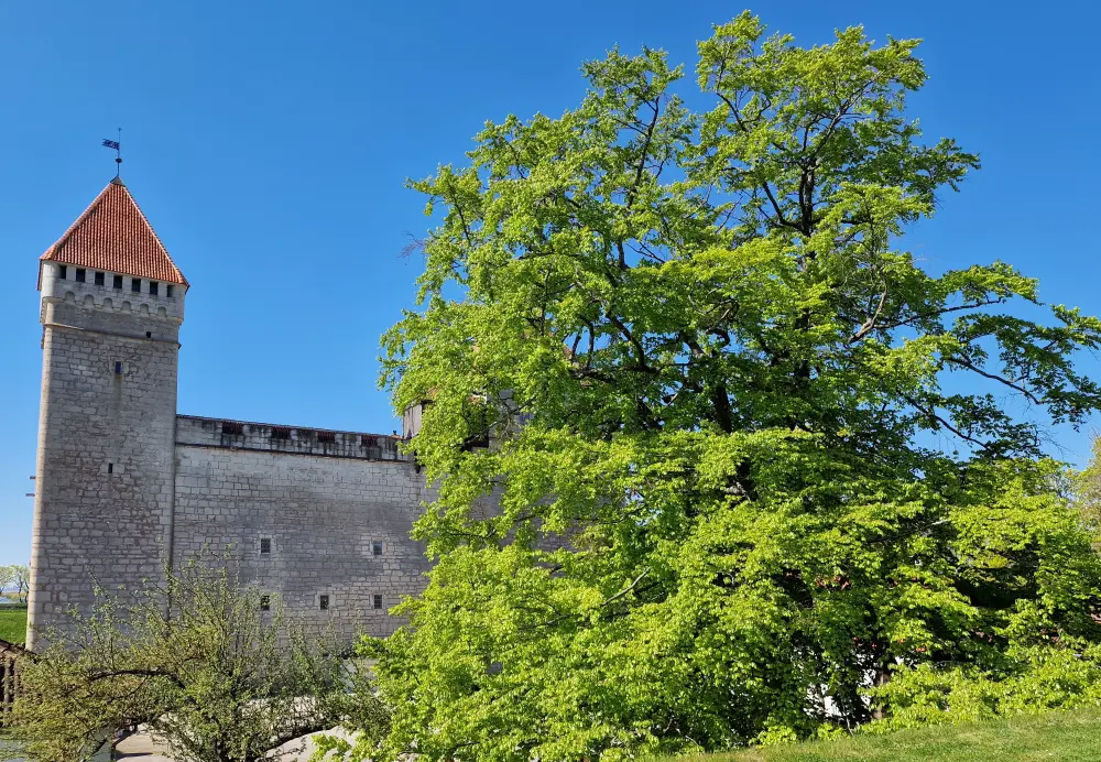 Kuressaare Castle